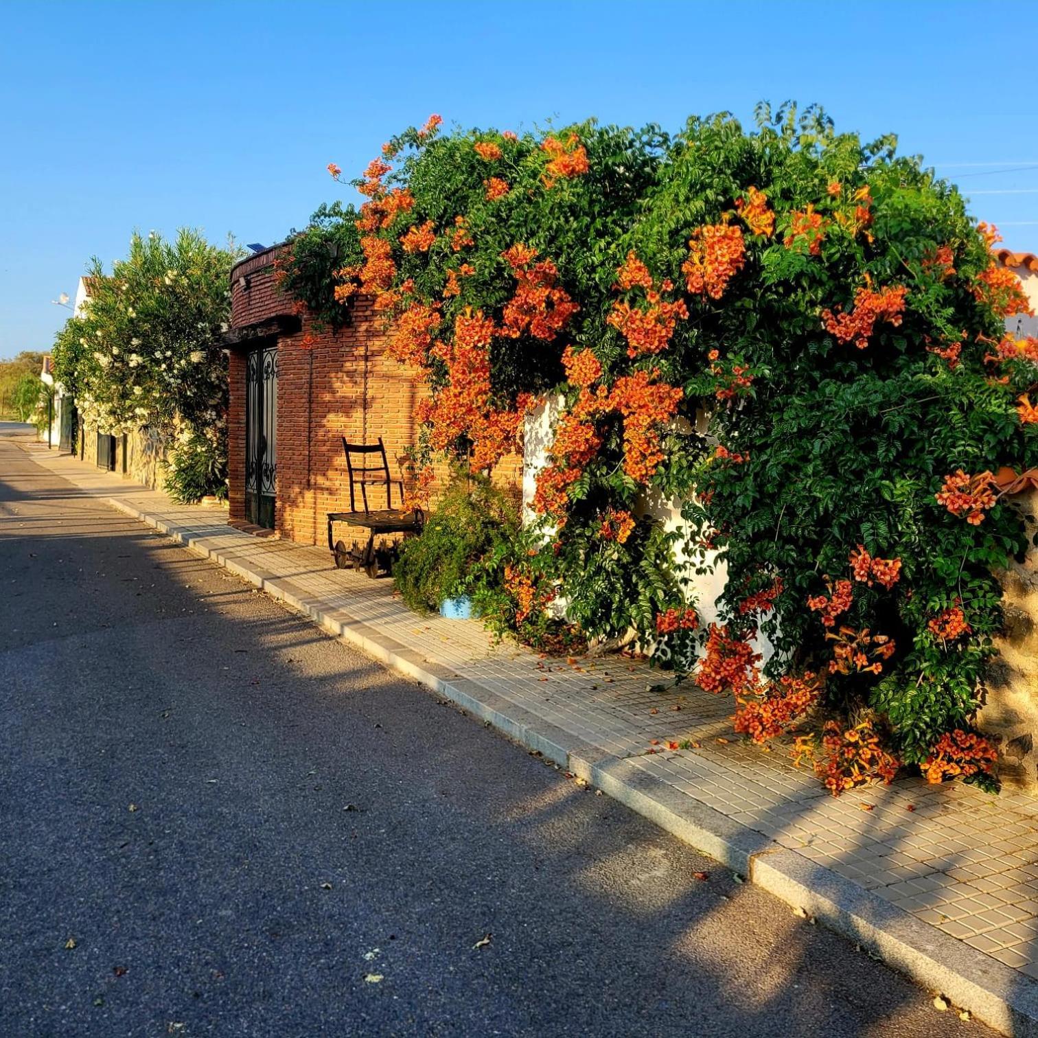 Appartement Complejo Turistico El Soldado. à Villanueva del Duque Extérieur photo